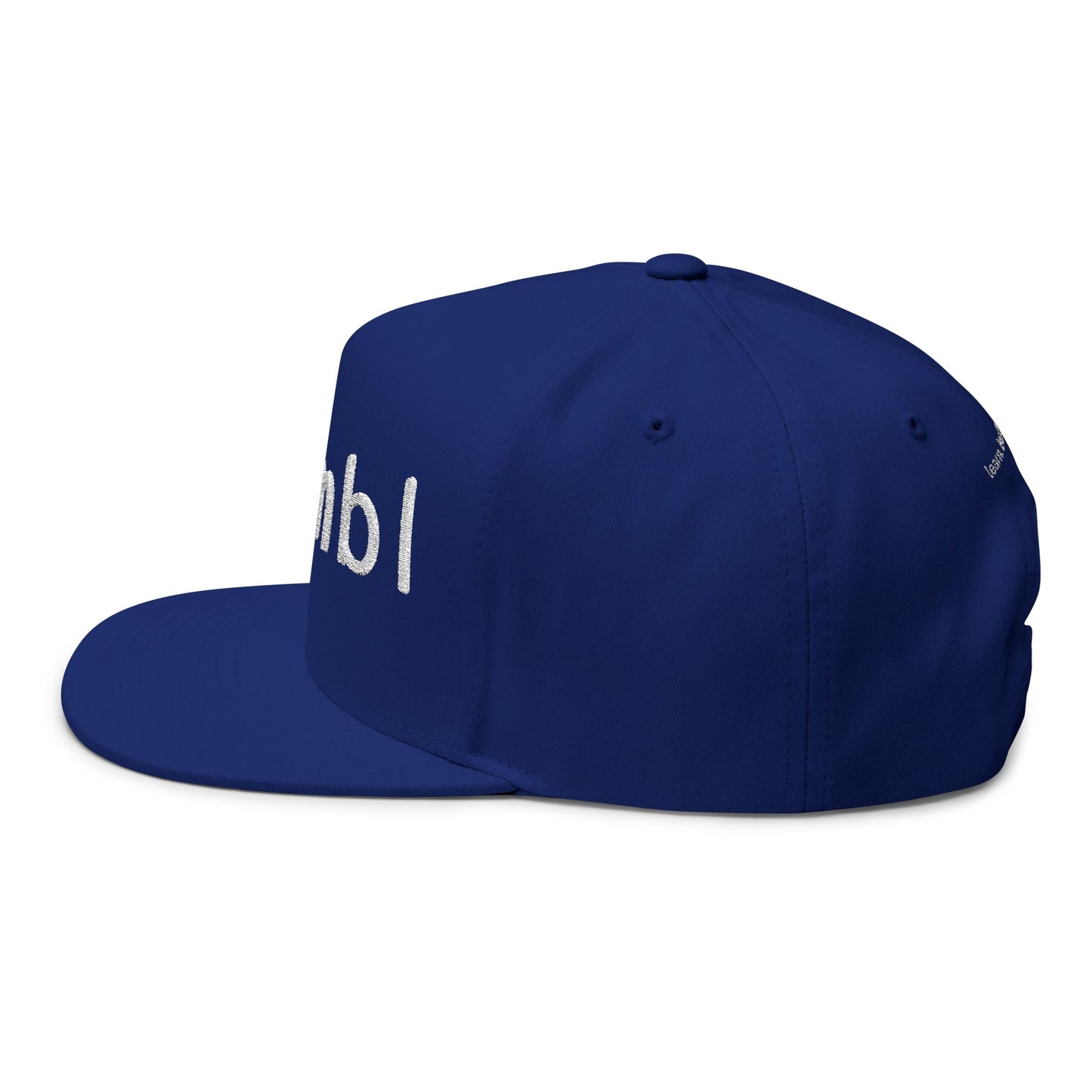 Nymbl Embroidered Flat Bill Cap — Snapback Hat