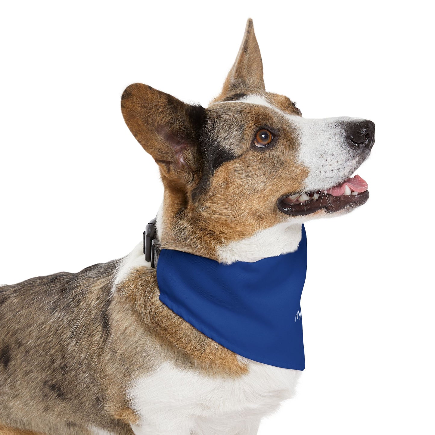 Nymbl Pet Bandana Collar
