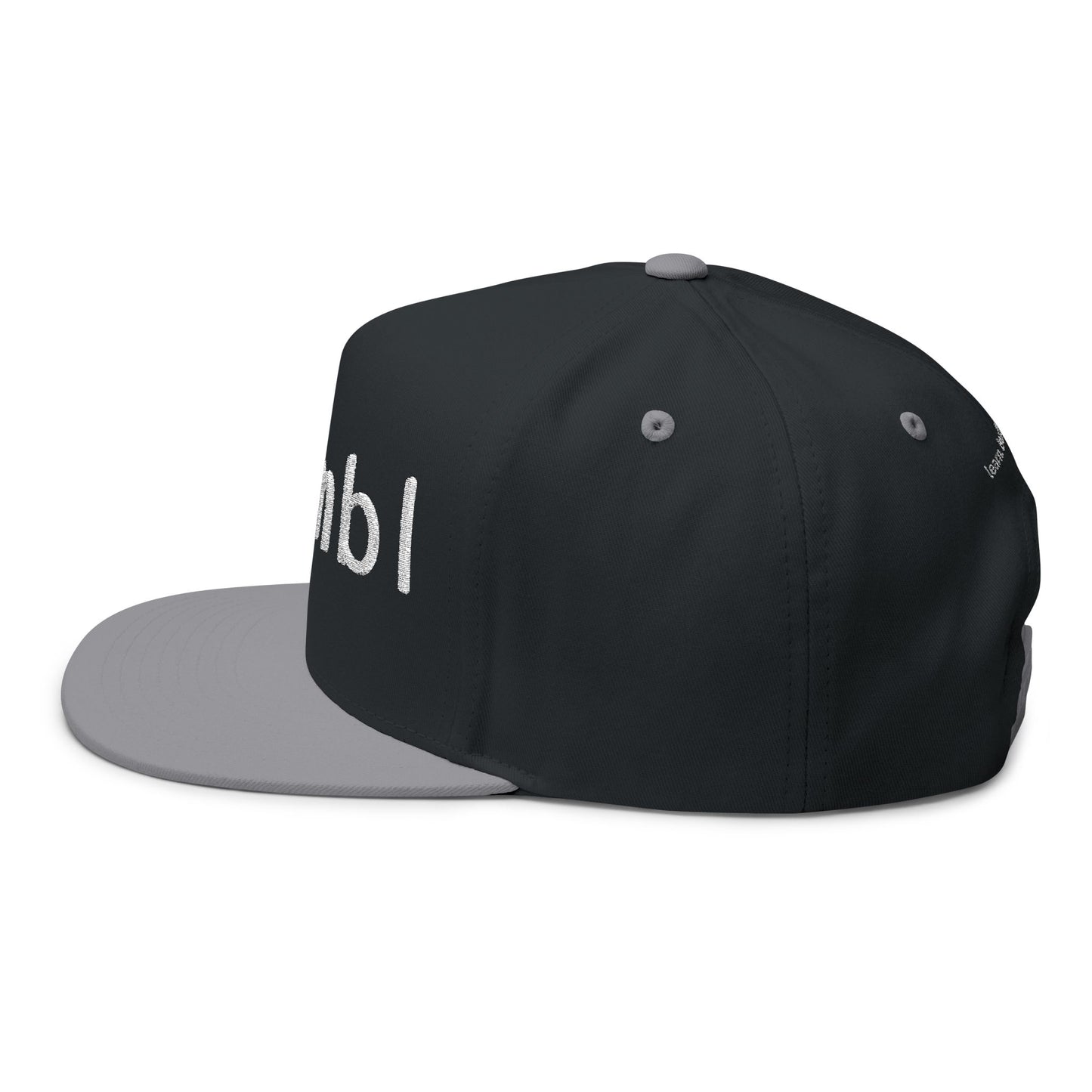 Nymbl Embroidered Flat Bill Cap — Snapback Hat
