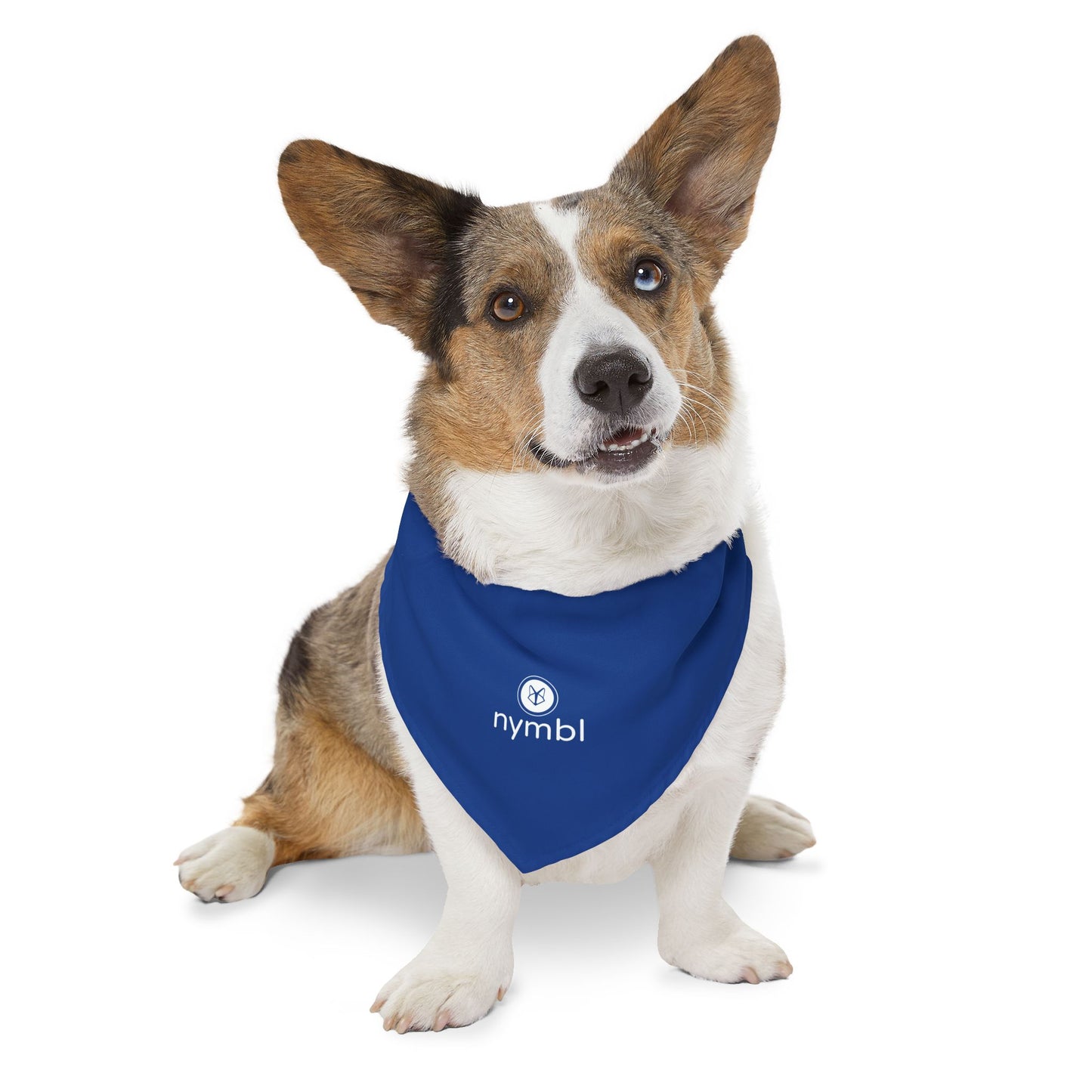 Nymbl Pet Bandana Collar